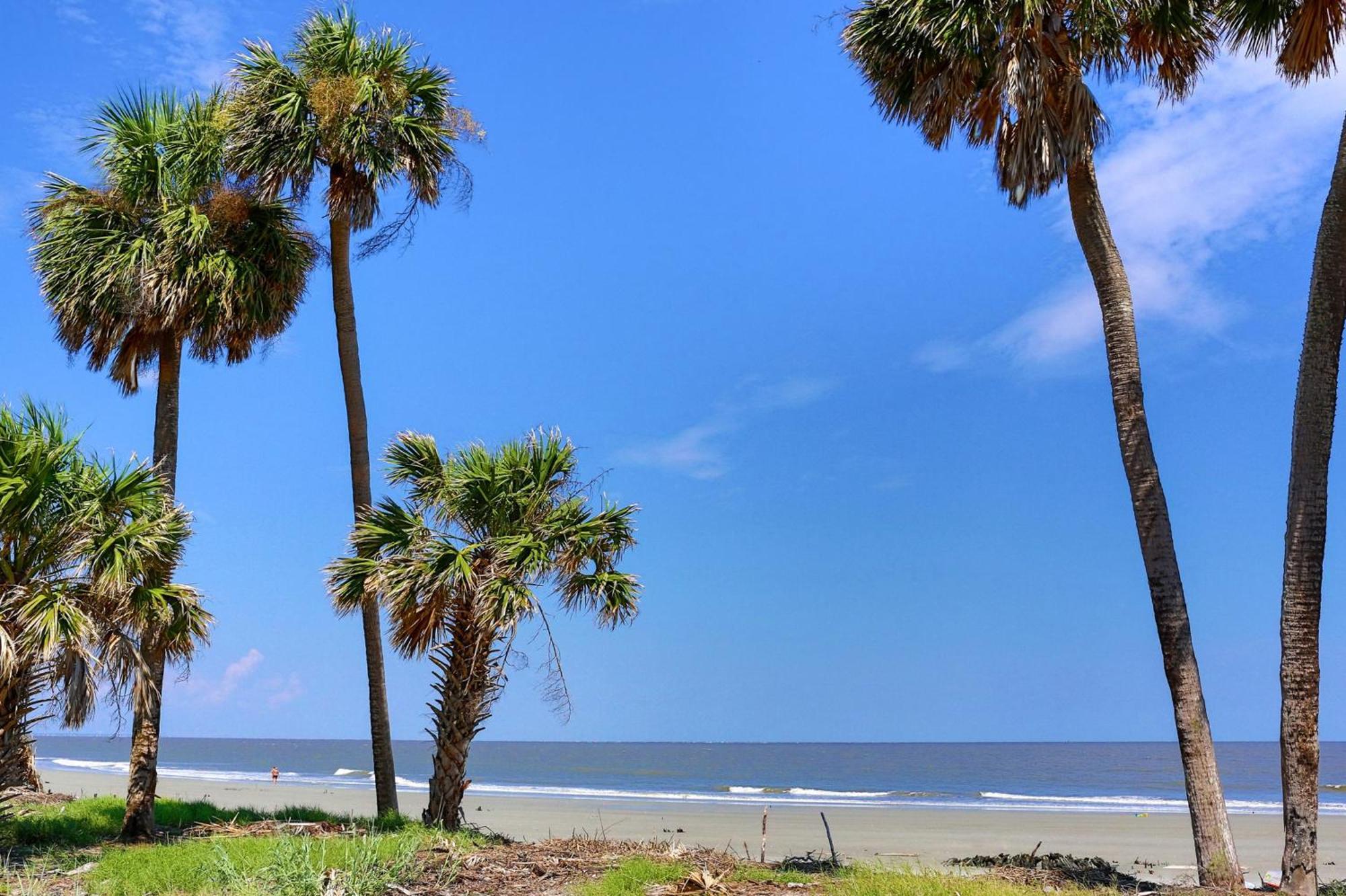 הוילה קיאווה איילנד 442 Oceanwoods מראה חיצוני תמונה